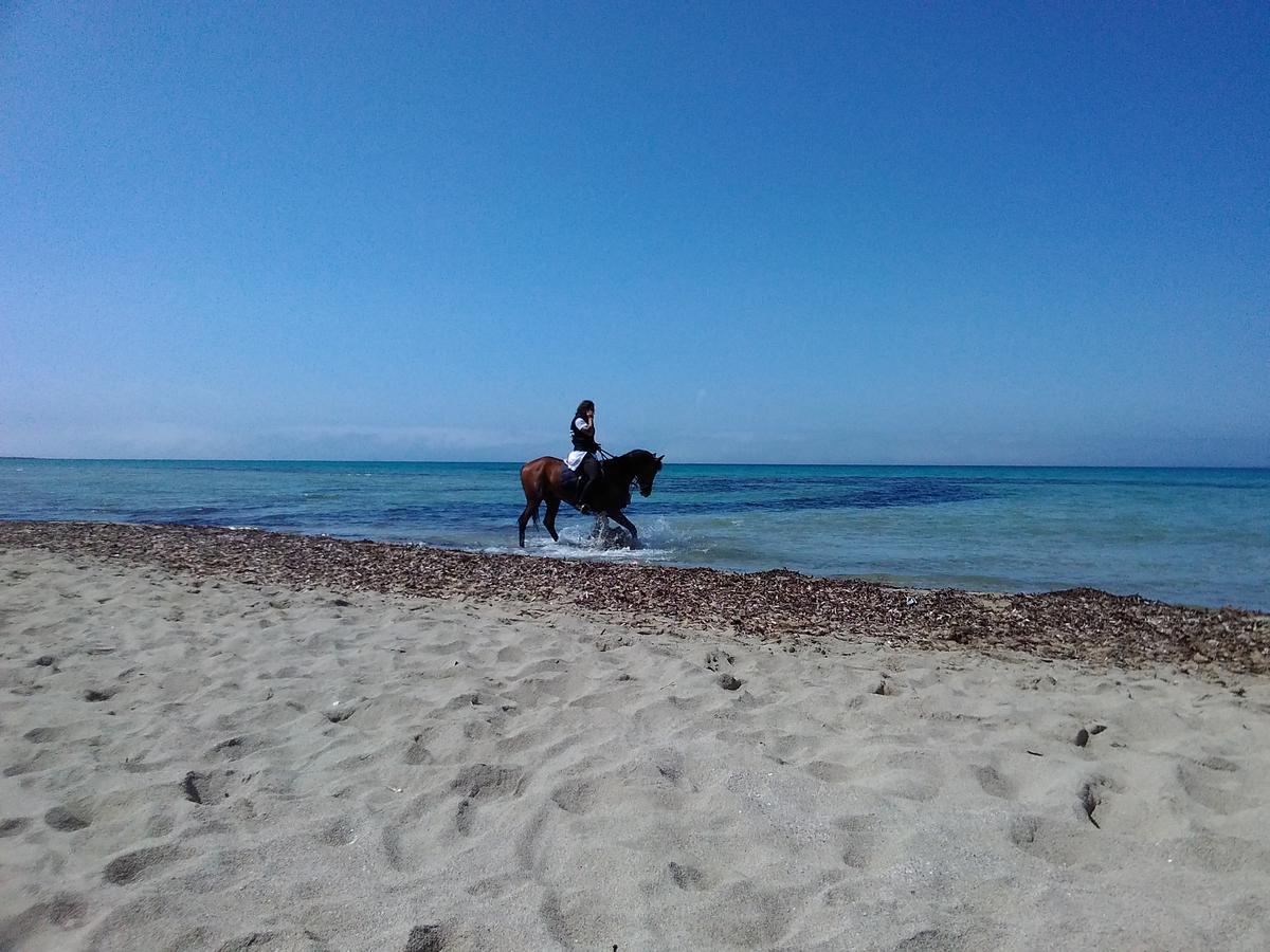 Villa Blanche Dimora Di Charme Marsala Kültér fotó